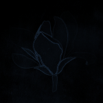 BloomingLiteStudio