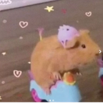 ~ Kawaii Egg's ~