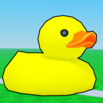 Duck's And Stuff