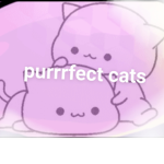 Prrrfect cats