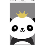 Qween Pandas