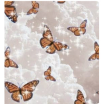 Dreamers dream big