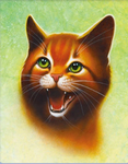 Meow I'm a kitty group