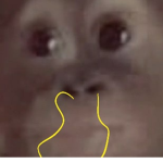 미오엿