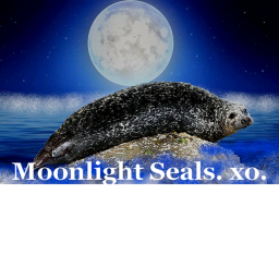 Moonlight Seals.'s Camp.