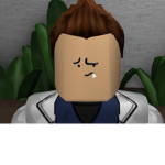 Simulation Developer Group