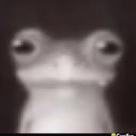 шれΨ