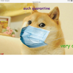 Doges for eternity