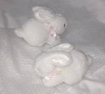 .+*+. bunny angel .+*+.