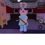 Bunny fans [piggy fan club]