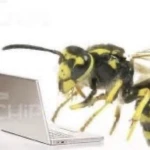 the bug closet Group Thumbnail