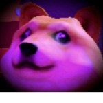Joe mamas fat dog