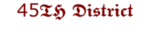 45TH District