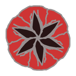 Void Organization Training Place