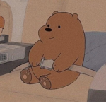 Vintage teddy’s
