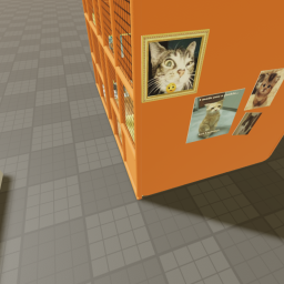 CATS!