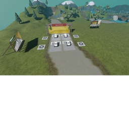Race