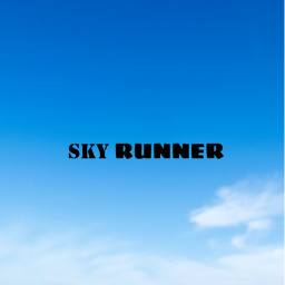 Sky Runner (NEW)