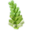 Honey Romanesco produce