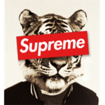 SUPREME IS COOL
