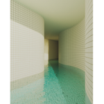 The Swimming pool