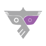 APE Foundation