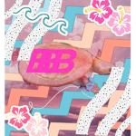 BELLAS BEAUTIFUL BOUTIQUE!!! <3