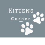 Kittens Corner