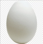 Egg world :D