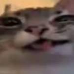 Maboy Games