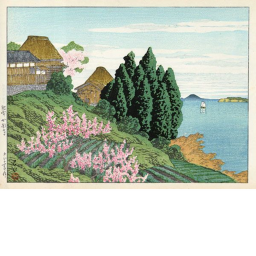Hizen Fields フィールド