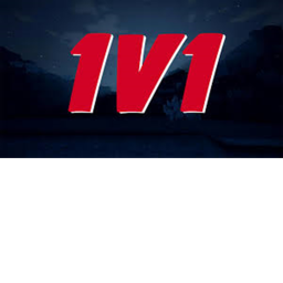 1v1