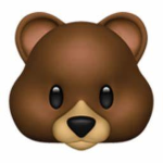 #Bear_Nation Fans