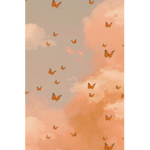 The light pink butterfly’s