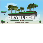 Skyblock Team!