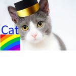 Da Kitty