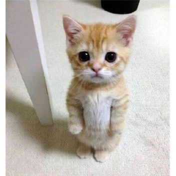 UNDER CONSTRUCTION! Racing In The Beach City. READ