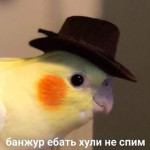 yare yare...