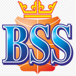 BSS Group