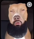 Fe fi foe fum I smell ppl that have DRITY BISKITS