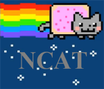 The Nyancat Assault Team