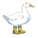 Duck duck duck quack