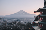 ミックスアパレル