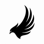 Account Funding Vault