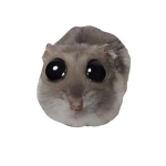 D➍vd