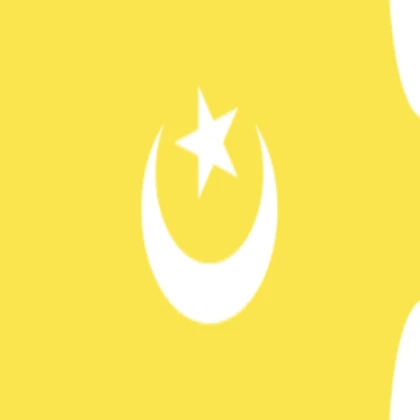 Hafsid kingdom flag