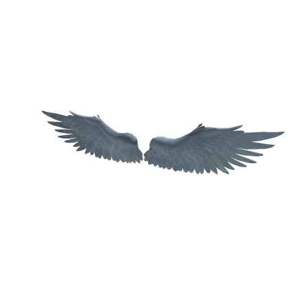 asa anjo teste 