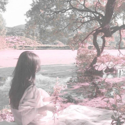 fαll ⸝⸝ . ꒱