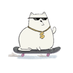 Cool cat on a skateboard Group