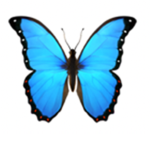 Buttterfly Legends